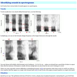 Identifying sounds in spectrograms