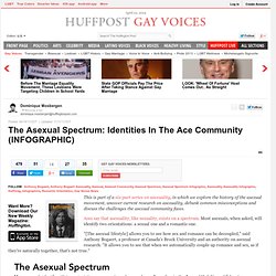 The Asexual Spectrum: Identities In The Ace Community (INFOGRAPHIC)