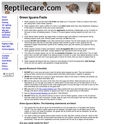Iguana Facts Page - www.reptilecare.com