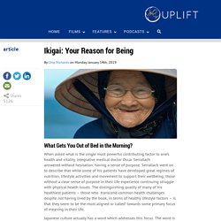 Ikigai - Your Reason for Being