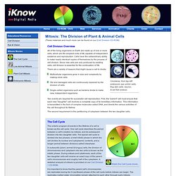 Cells - Unit 7 and 8 C2C Resources | Pearltrees frog skin diagram 