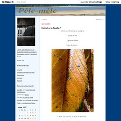 Il était une feuille * | pêle-mêle
