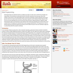 DNA Fingerprinting