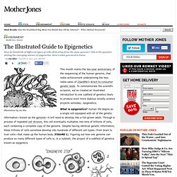 The Illustrated Guide to Epigenetics