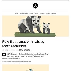 Poly Illustrated Animals by Matt Anderson