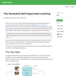 The Illustrated Self-Supervised Learning