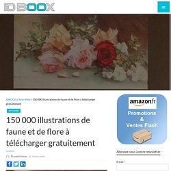 150 000 illustrations de faune et de flore à télécharger gratuitement