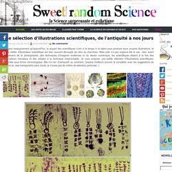 Une sélection d'illustrations scientifiques, de l'antiquité à nos jours ~ Sweet Random Science