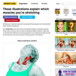 These illustrations explain which muscles you’re stretching