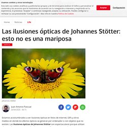 Las ilusiones ópticas de Johannes Stötter: esto no es una mariposa