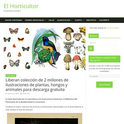 Liberan colección de 2 millones de ilustraciones de plantas, hongos y animales para descarga gratuita » El Horticultor