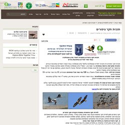 מידע לתלמידים ולמורים - אתר הצפרות הישראלי