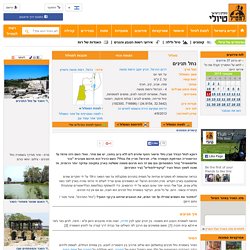 נחל תנינים