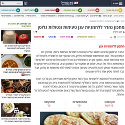 מתכון נהדר ללחמניות ענן טעימות ונטולות גלוטן