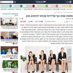 למדו איך להימנע משפת גוף שלילית בפגישות חשובות