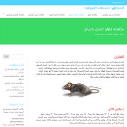 مكافحة فئران المنزل بالرياض مبيدات بريطانية