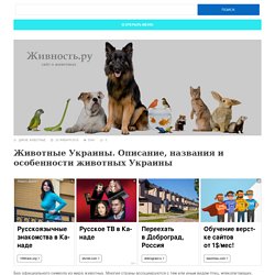 Животные Украины. Описание, названия и особенности животных Украины