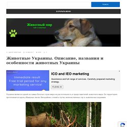Животные Украины. Описание, названия и особенности животных Украины