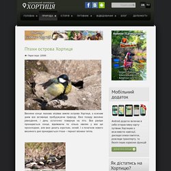 Птахи острова Хортиця — Національний заповідник "Хортиця"