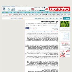 איך החיידקים שולטים בנו