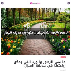 ما هي الزهور والورد التي يمكن زراعتها في حديقة المنزل