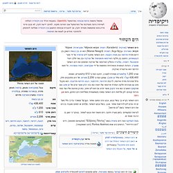 הים השחור