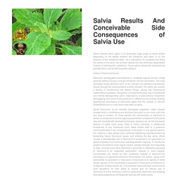 Salvia Results And Conceivable Side Consequences of Salvia Use