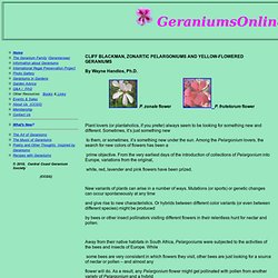 GeraniumsOnline