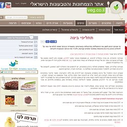 מתכון - תחליפי ביצה: כיצד להמיר ביצים במרכיבים צמחיים במאפים?