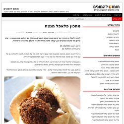 מתכון פלאפל מנצח