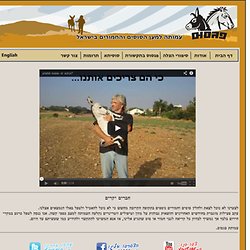 Pegasus: Save Donkeys & Horses In Israel