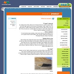 הפגיעה בים המלח סבבה-שומרים על הסביבה