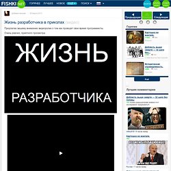 Жизнь разработчика в приколах (видео) - Fishki.Net