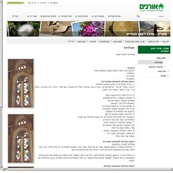 פעילויות