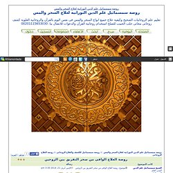 روضة العلاج الوافى من سحر التفريق بين الزوجين