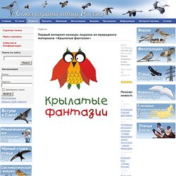 Первый интернет-конкурс поделок из природного материала «Крылатые фантазии»