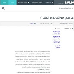 ما هي فوائد بذور الكتان