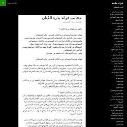 عجائب فوائد بذرة الكتان
