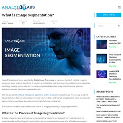 What is Image Segmentation or Segmentation in Image Processing?