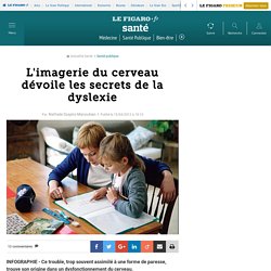Imagerie du cerveau et dyslexie - Lefigaro.fr