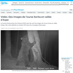 video-images-lourse-sorita-vallee-daspe_29442410