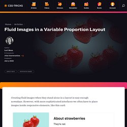 Fluid Images in a Variable Proportion Layout
