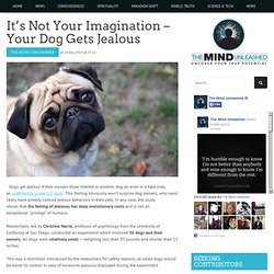 It’s Not Your Imagination – Your Dog Gets Jealous