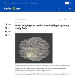 Brain imaging can predict how intelligent you are, study finds