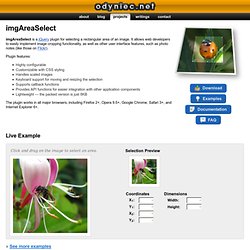 imgAreaSelect - image selection/cropping jQuery plugin - odyniec.net