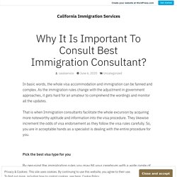 Why It Is Important To Consult Best Immigration Consultant? – California Immigration Services