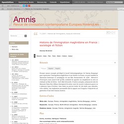 Histoire de l’immigration maghrébine en France : sociologie et fiction