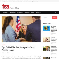 Tips To Find The Best Immigration Work Permits Lawyer By TSA News Blog