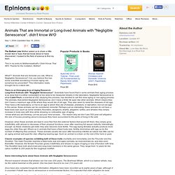 Animals That are Immortal or Long-lived Animals with "Negligible Senescence". didn't know W/O - Writer's Corner: General Non-Fiction