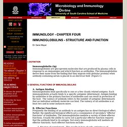 IMMUNOGLOBULINS - STRUCTURE AND FUNCTION